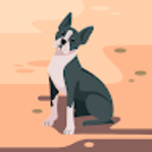 Meet your Posher, Ava